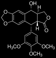 Podophyllotoxin (Podophyllyum emodi)