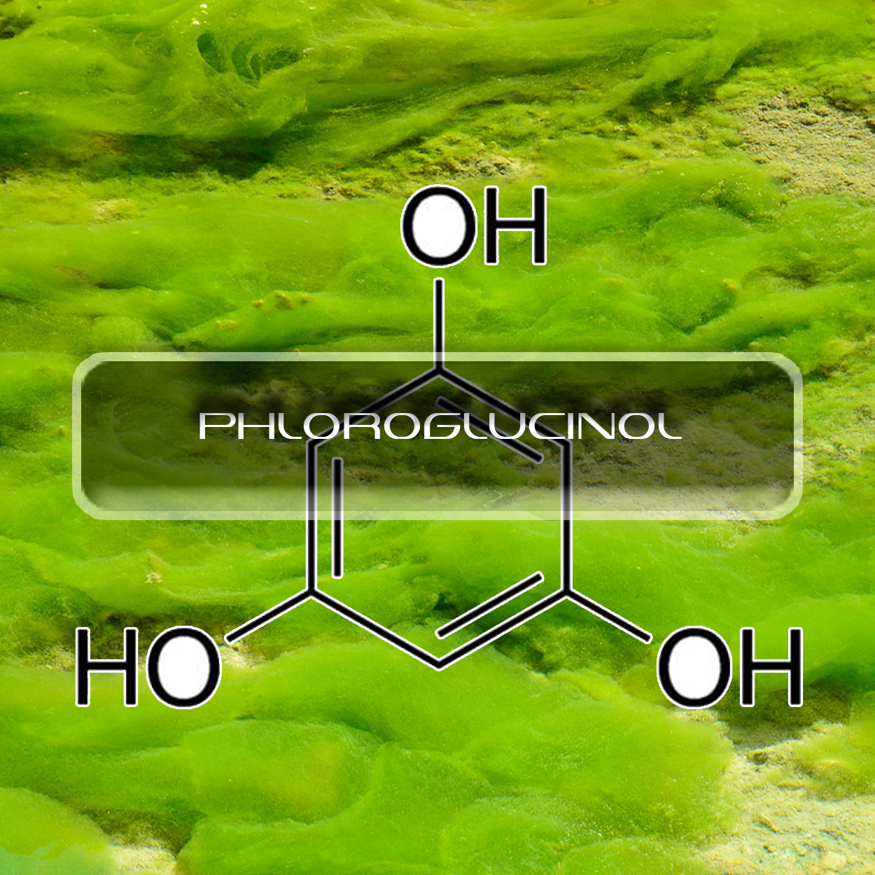 Benefits of Phloroglucinol, Interstellar Blends